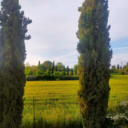 Con Parco Vicino San Gimignano Colle Val D'Elsa