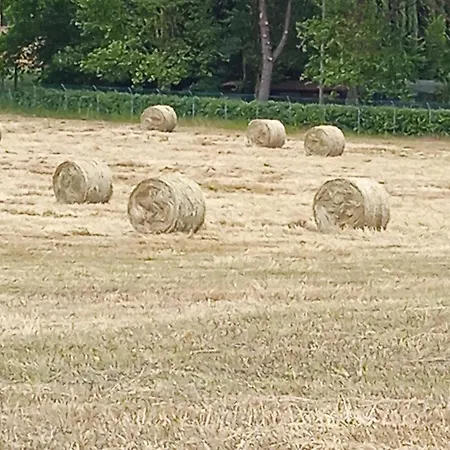 Con Parco Vicino San Gimignano